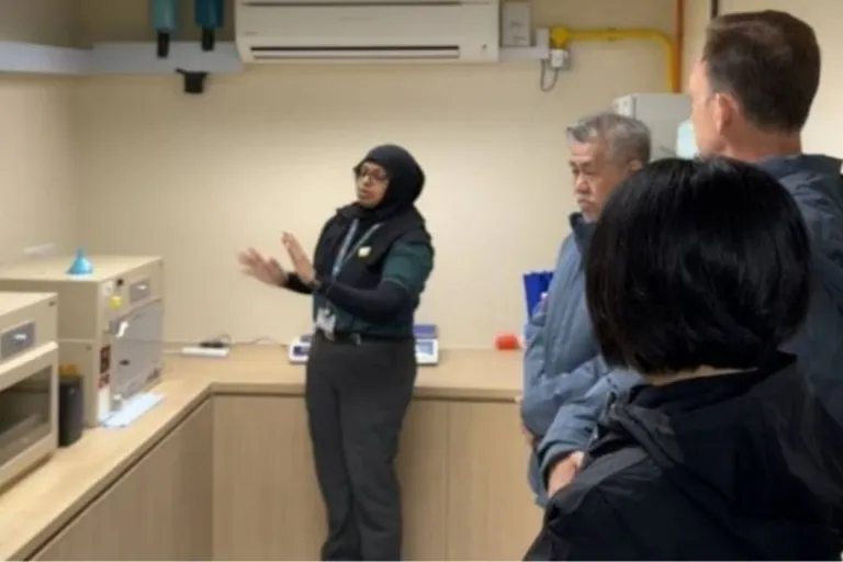 mandai singapore penguin