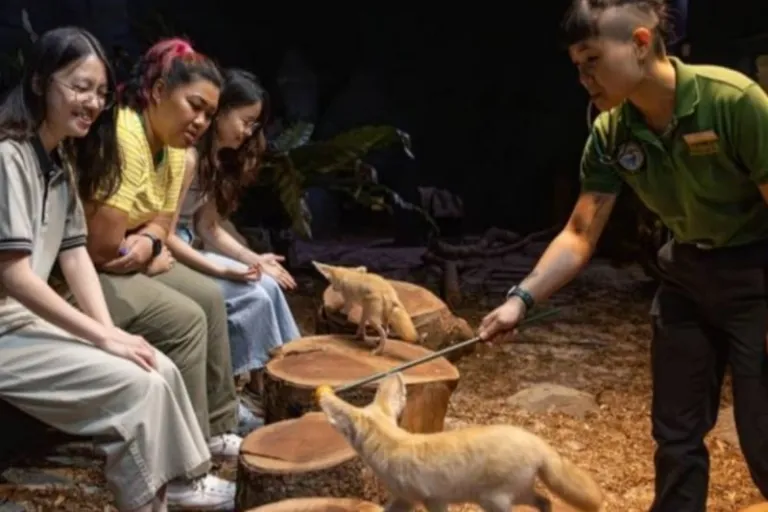 mandai wildlife reserve