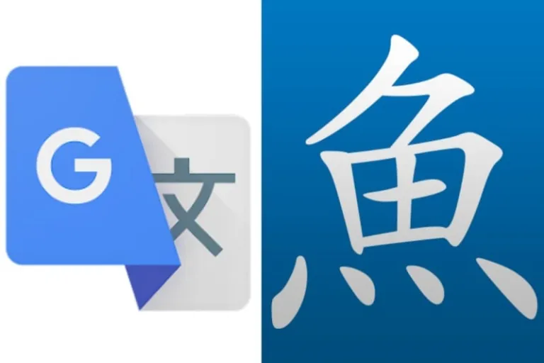 google translate, pleco