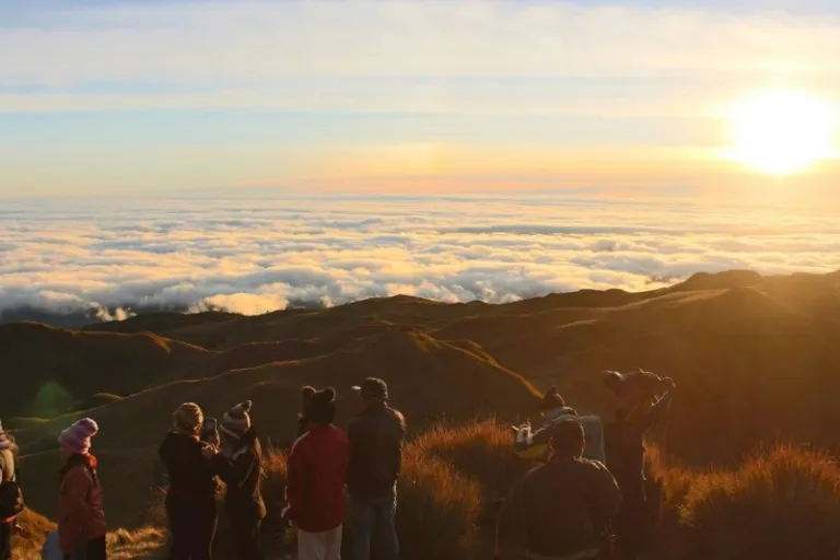 mount pulag summit