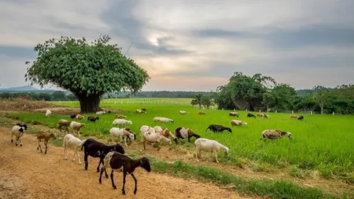 Image for article Best Things To Do In Kluang, Only 2 Hours From Johor Bahru