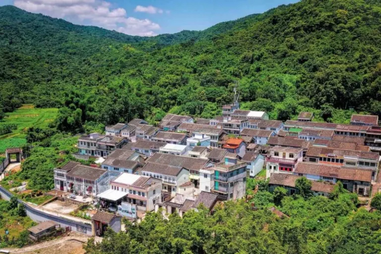 lai chi wo hong kong