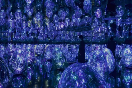 Image for article teamLab Biovortex Kyoto Opening in 2025: What to Expect