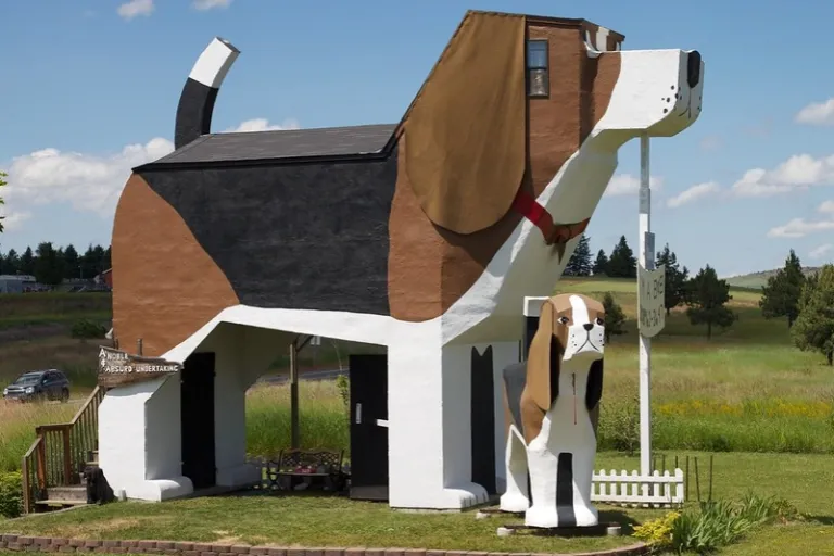 house shaped like a dog