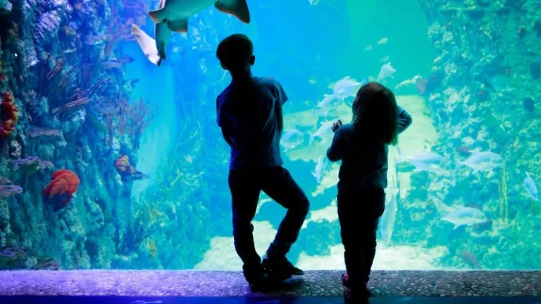 children at aquarium