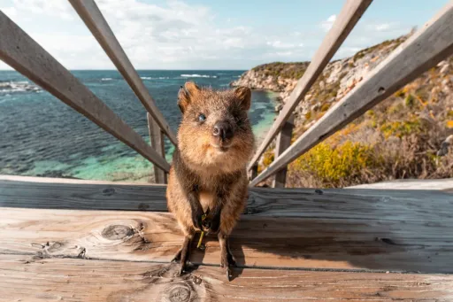 Image for article Immersive Tours That Let You Truly Experience Australia