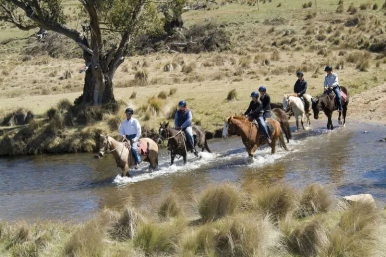 horse riding australia