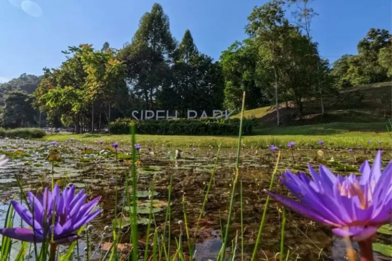 sireh park bukit indah