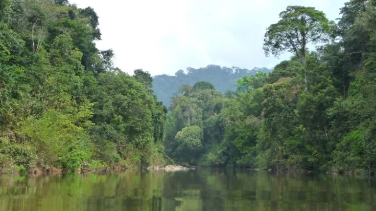 mountain and lake view