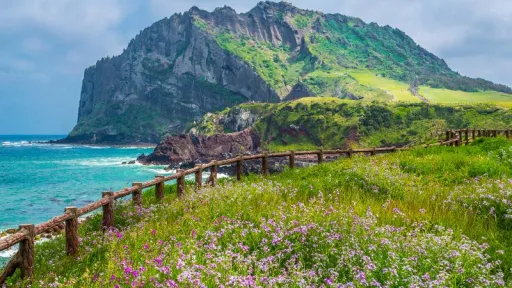 Image for article Jeju’s 2025 World Heritage Festival Opens Doors to Hidden Natural Wonders