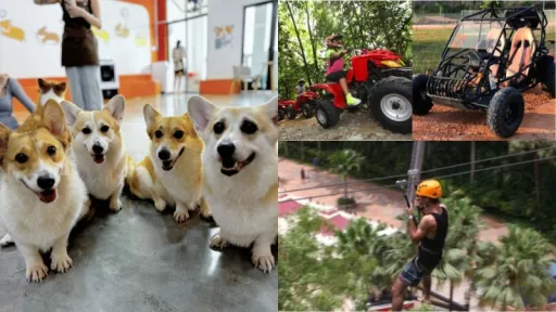 Image for article Top 9 Things to Do in Iskandar Puteri, Johor Bahru