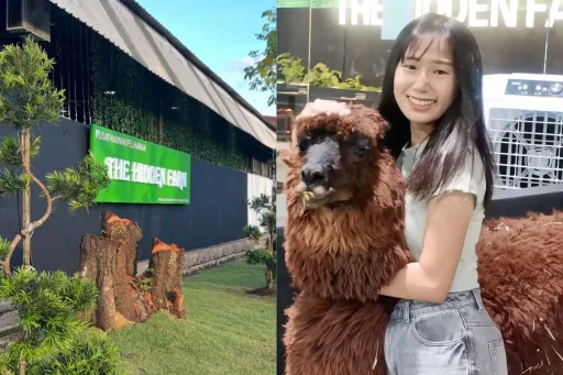 Image for article Johor Bahru’s New Indoor Petting Zoo Opens With Over 40 Animals