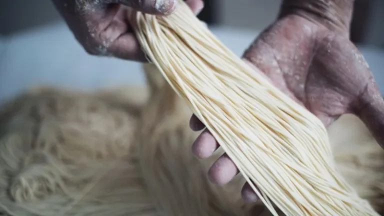 hand made noodles