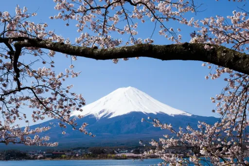 Image for article Japan to Launch Pre-Arrival Screening for Visa-Free Travellers by 2028