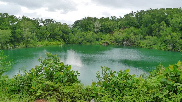 greenery surrounding lake