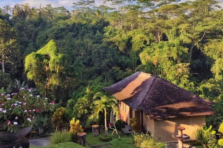 bali wellness retreats