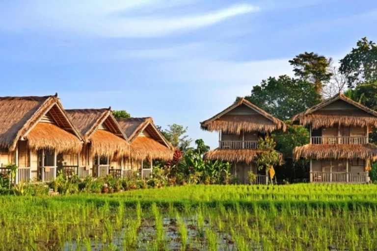 bali wellness retreats