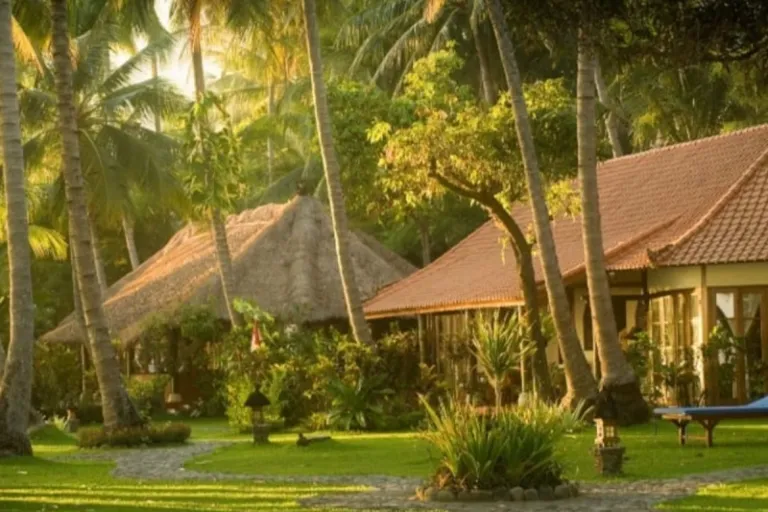 bali wellness retreats