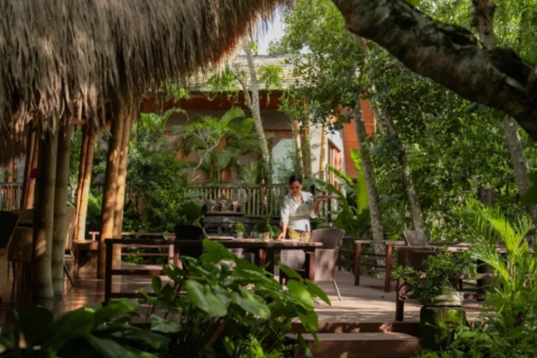 bali wellness retreats