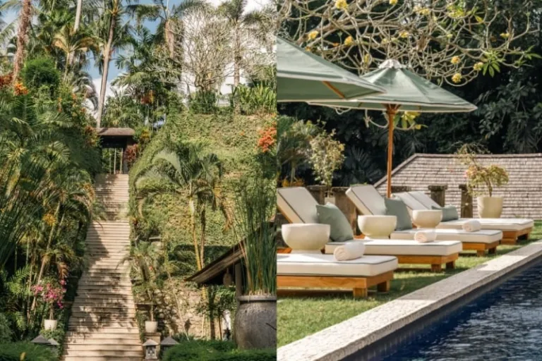 bali wellness retreats