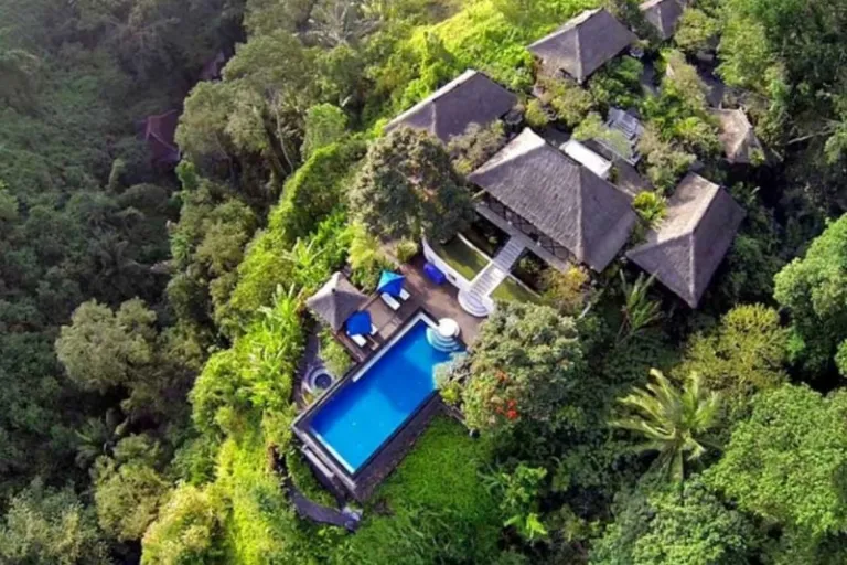 bali wellness retreats