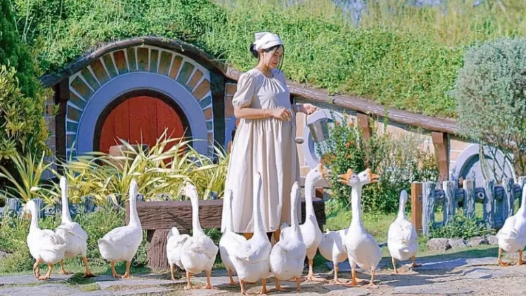 thailand destination dupes