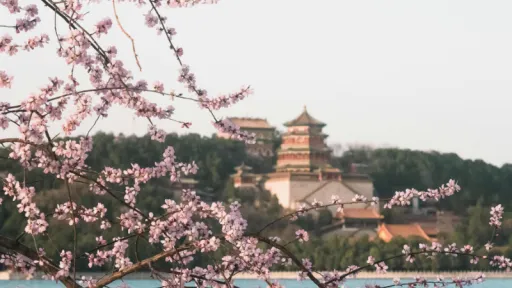 Image for article The Ultimate Seasonal Guide to Visiting China: When to Go for the Best Experiences