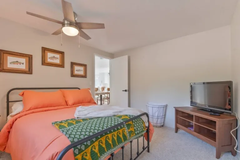 Airbnb in Helena Montana 