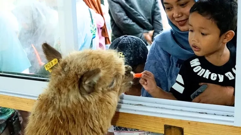 batam family friendly