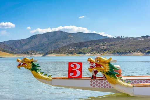 Image for article The Ultimate Guide to the Dragon Boat Festival 2025 in Hong Kong