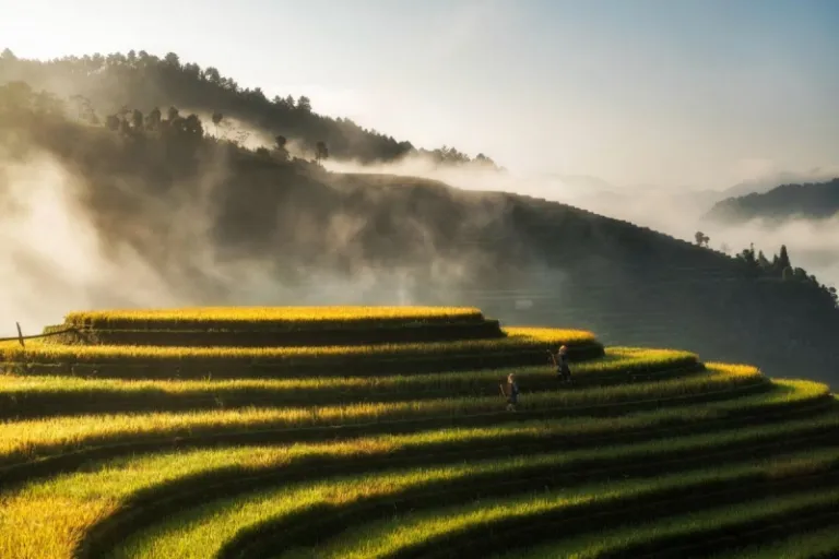 vietnam rolling hills