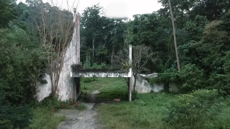 abandoned asia