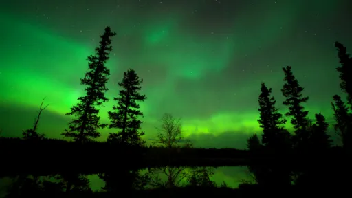 Image for article How to See the Northern Lights in 2025: A Guide for Singaporeans