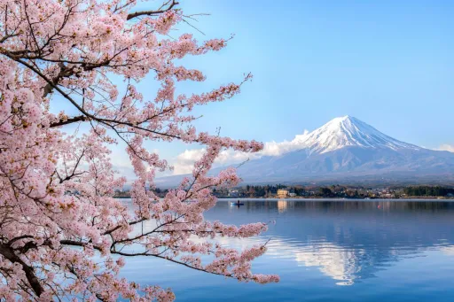 Image for article Souvenirs to Buy in Tokyo: Sweet Snacks Worth Bringing Home From Japan