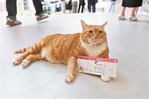 Image for article China Unveils New Pet Terminal at Guangzhou Baiyun International Airport