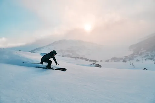 Image for article Seasonal Things To Do in Australia: Jacaranda Hunting, Wreck Snorkelling and More!