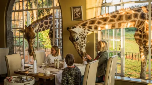 Image for article 7 Unusual Honeymoon Destinations That Will Blow Your Mind