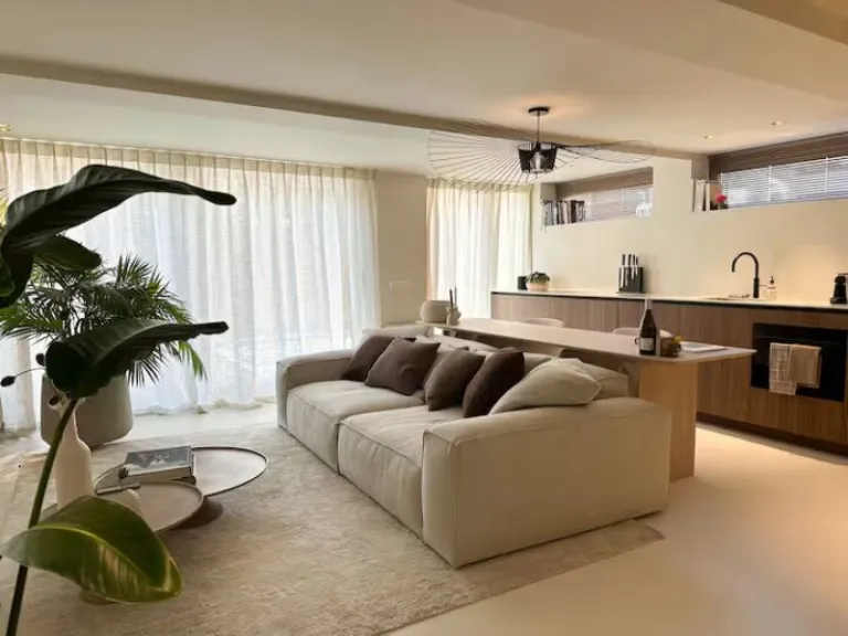  airbnb stays to see tulip bloom in the Netherlands 