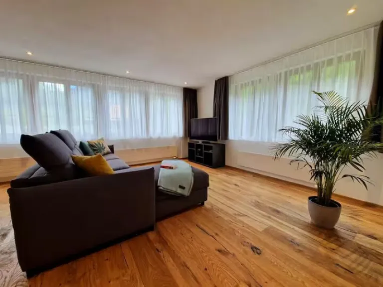 Airbnbs to see Alpine Wildflowers 