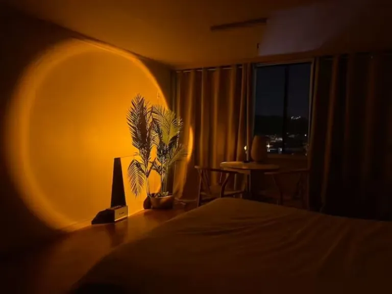 Airbnbs in Korea to Witness the Wisteria Bloom 