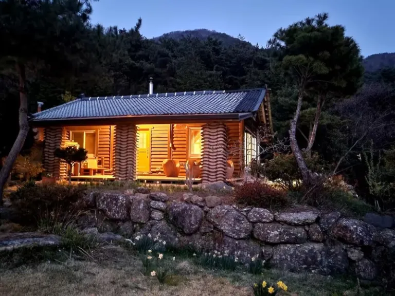 Airbnbs in Korea to Witness the Wisteria Bloom 