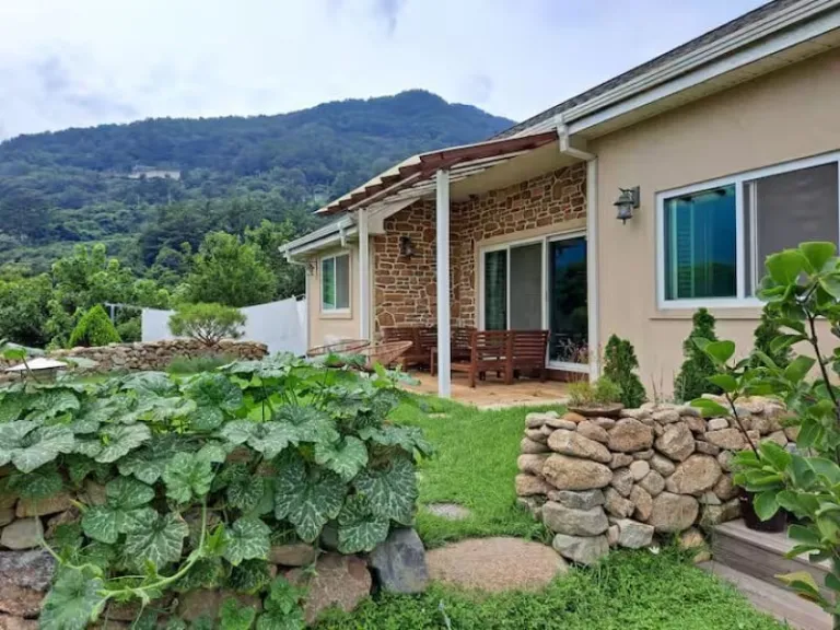 Airbnbs in Korea to Witness the Wisteria Bloom 