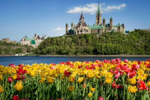 Image for article What To Expect From The Canadian Tulip Festival 2025