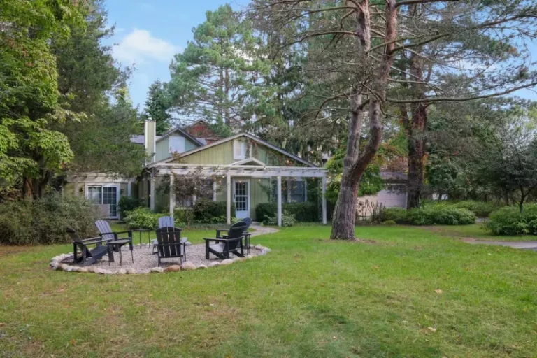 modern cabin Airbnb Stays in Saugatuck