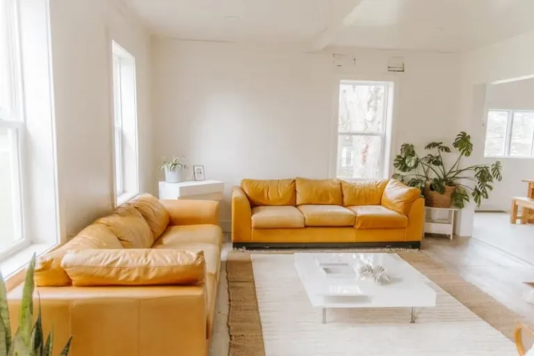 historic Airbnb stays in Holland