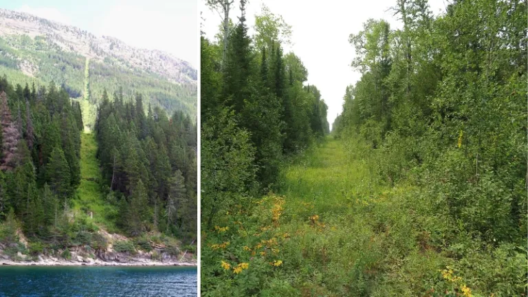 strangest borders in the world