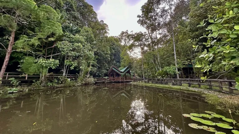 Sungai Liang Forest Recreation Park, Bangar, Brunei
