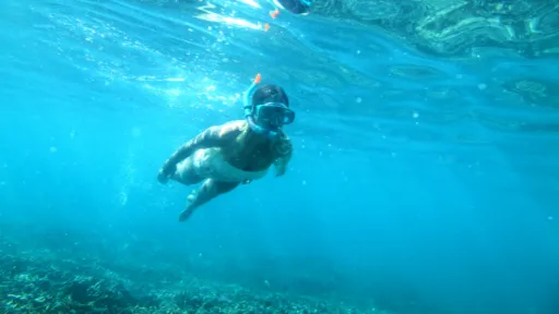 Image for article 5 Things to Do on Karimun Island 2 Hours Away from Singapore