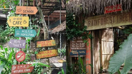 Image for article Rainforest Treehouse Kulai: A Unique Nature Retreat Near Johor Bahru