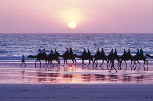 Image for article New Direct Flights To Broome and Must-Try Experiences in 2025